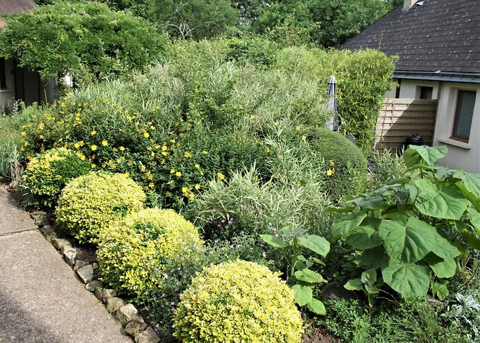 Paulanosa * Asnieres-sur-Vegre